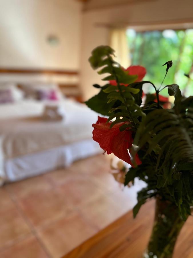 הנגה רואה Hotel Ohiro מראה חיצוני תמונה